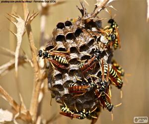 yapboz Wasp swarm